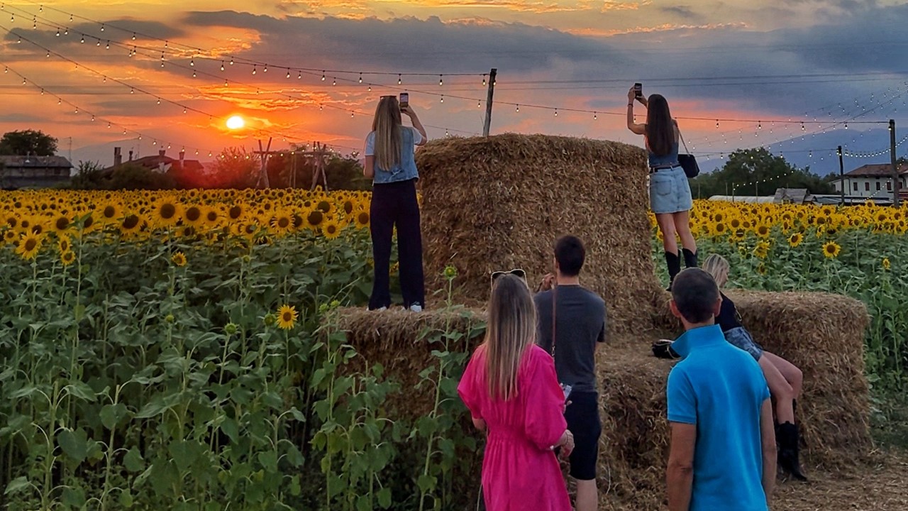 SUNSET TRA I GIRASOLI