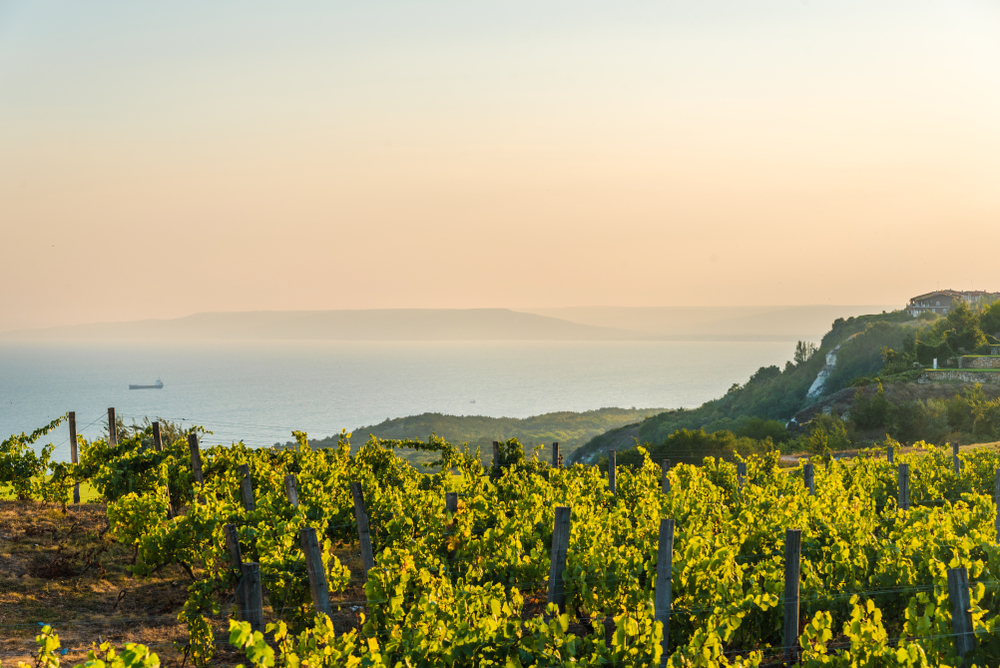 VIGNE, TEATRO E SAPORI NEI CAMPI FLEGREI