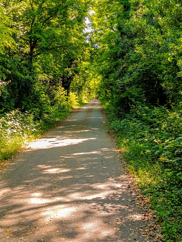 PEDALANDO TRA LA TREVISO-OSTIGLIA E LA RIVIERA BERICA