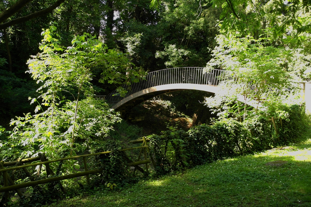 VISITA GUIDATA AL PARCO TREVES CON INTERVENTO DI DANZA