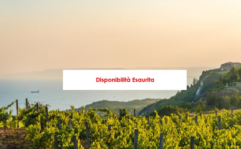 VIGNE, TEATRO E SAPORI NEI CAMPI FLEGREI