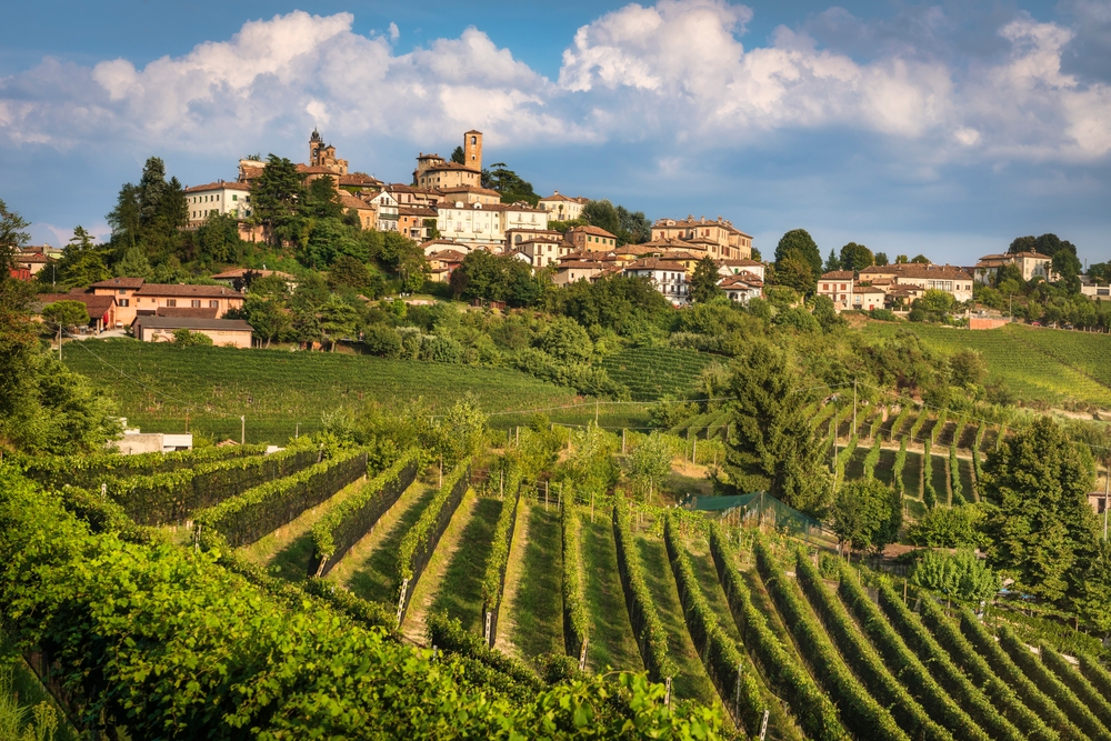 WEEKEND DEL TARTUFO AD ALBA (CN)