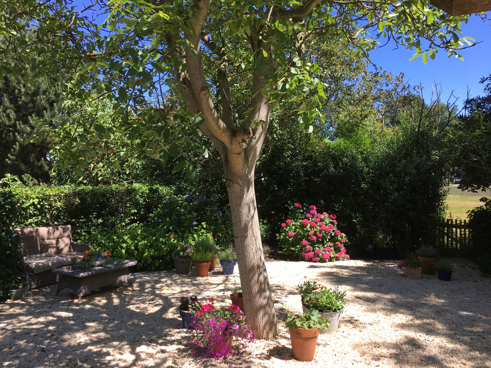 PARCO DELLA EX FAGIANERIA BORBONICA DI PORTICI: VISITA GUIDATA CON PRANZO