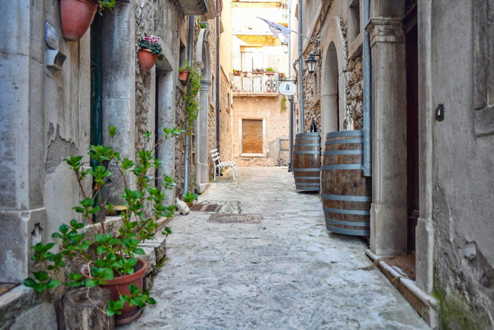 LE ECCELLENZE CAMPANE: IL TAURASI. VISITA GUIDATA DEL BORGO E DI UNA AZIENDA AGRICOLA A TAURASI (AV)