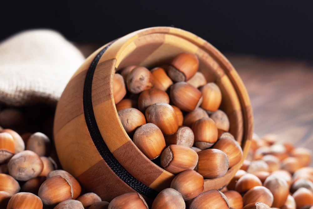 VISITA AI NOCCIOLETI E CREAZIONE DI CREMA ALLE NOCCIOLE E CACAO