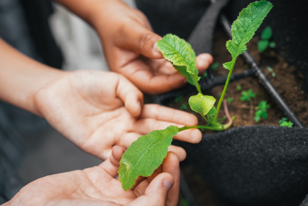 PICCOLI GIARDINIERI A CASA LAJOLO - ATTIVITA’ PER FAMIGLIE