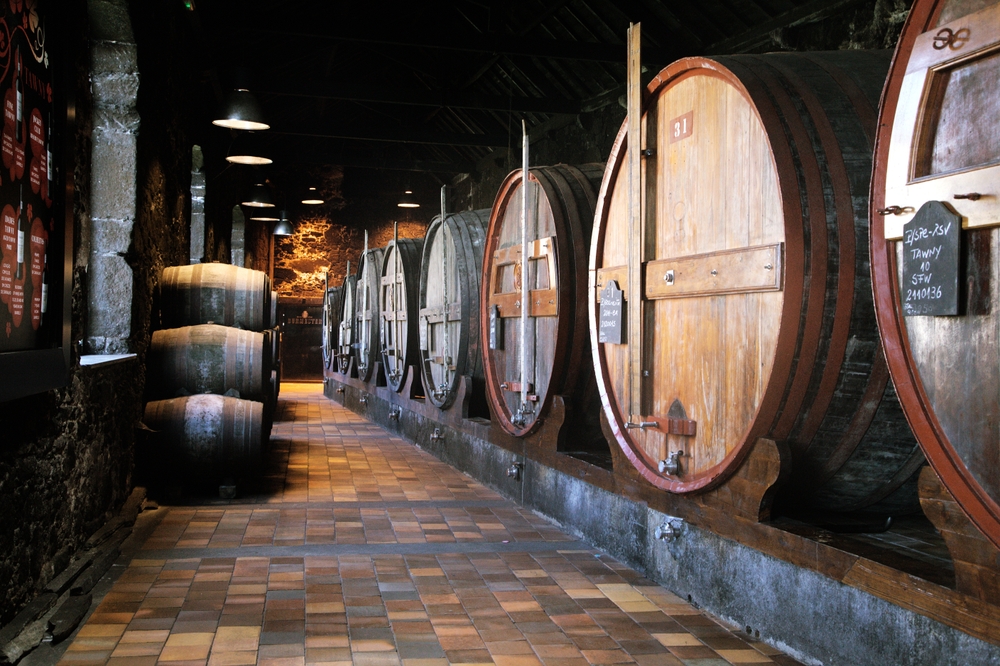 DEGUSTAZIONE IN CANTINA CON LIGHT BRUNCH