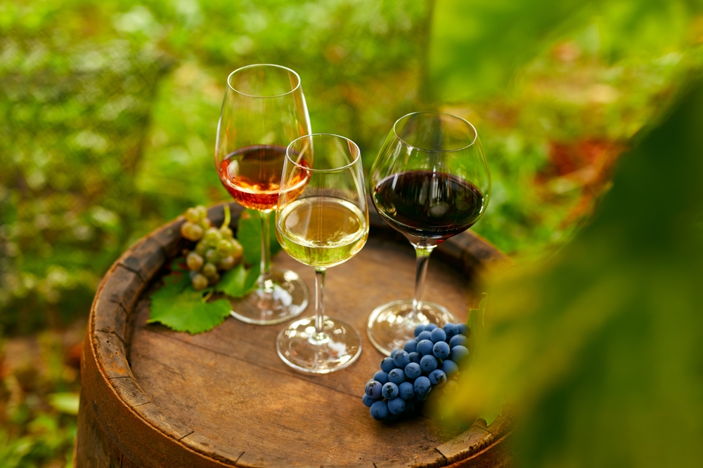 VISITA E DEGUSTAZIONE IN VIGNA ALLA CANTINA LA MARCHESA