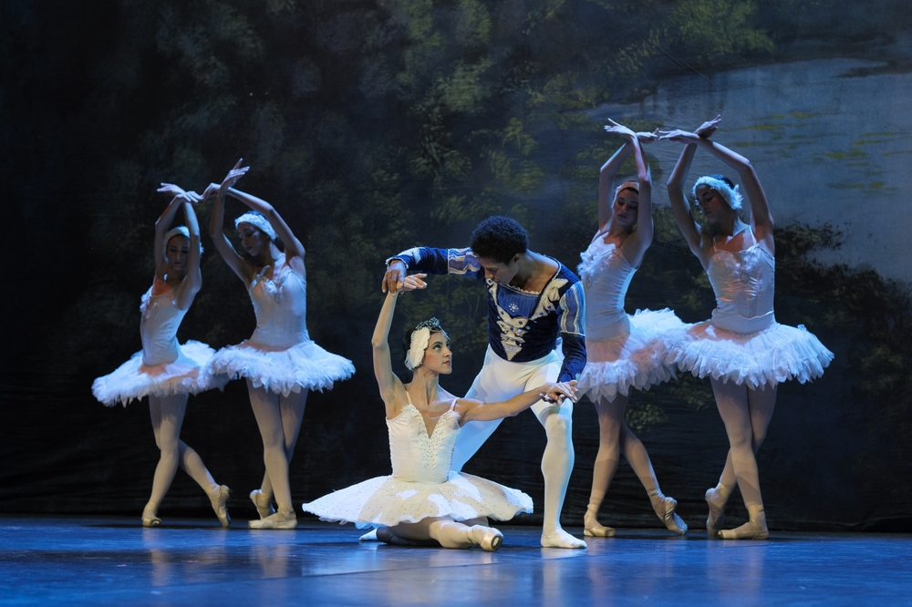 IL LAGO DEI CIGNI - TEATRO TEAM DI BARI