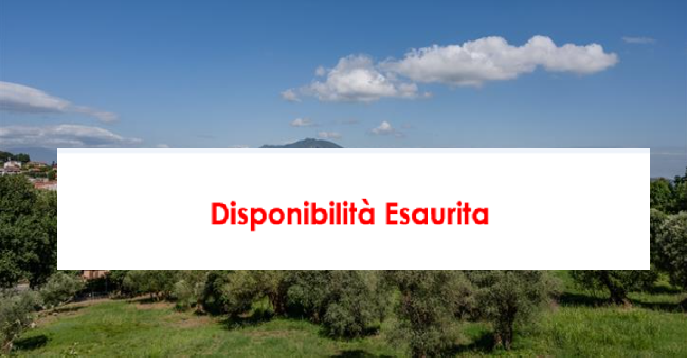 A ROCCAMONFINA, TRA ARTE E STORIA, CASTAGNE E FUNGO PORCINO
