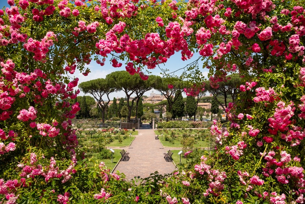 VISITA GUIDATA - IL ROSETO COMUNALE DELL'AVENTINO E SANTA SABINA A ROMA