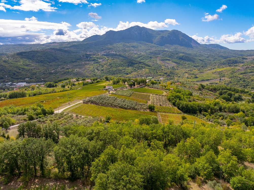 UNA GIORNATA IN IRPINIA TRA VIGNETI E DEGUSTAZIONI