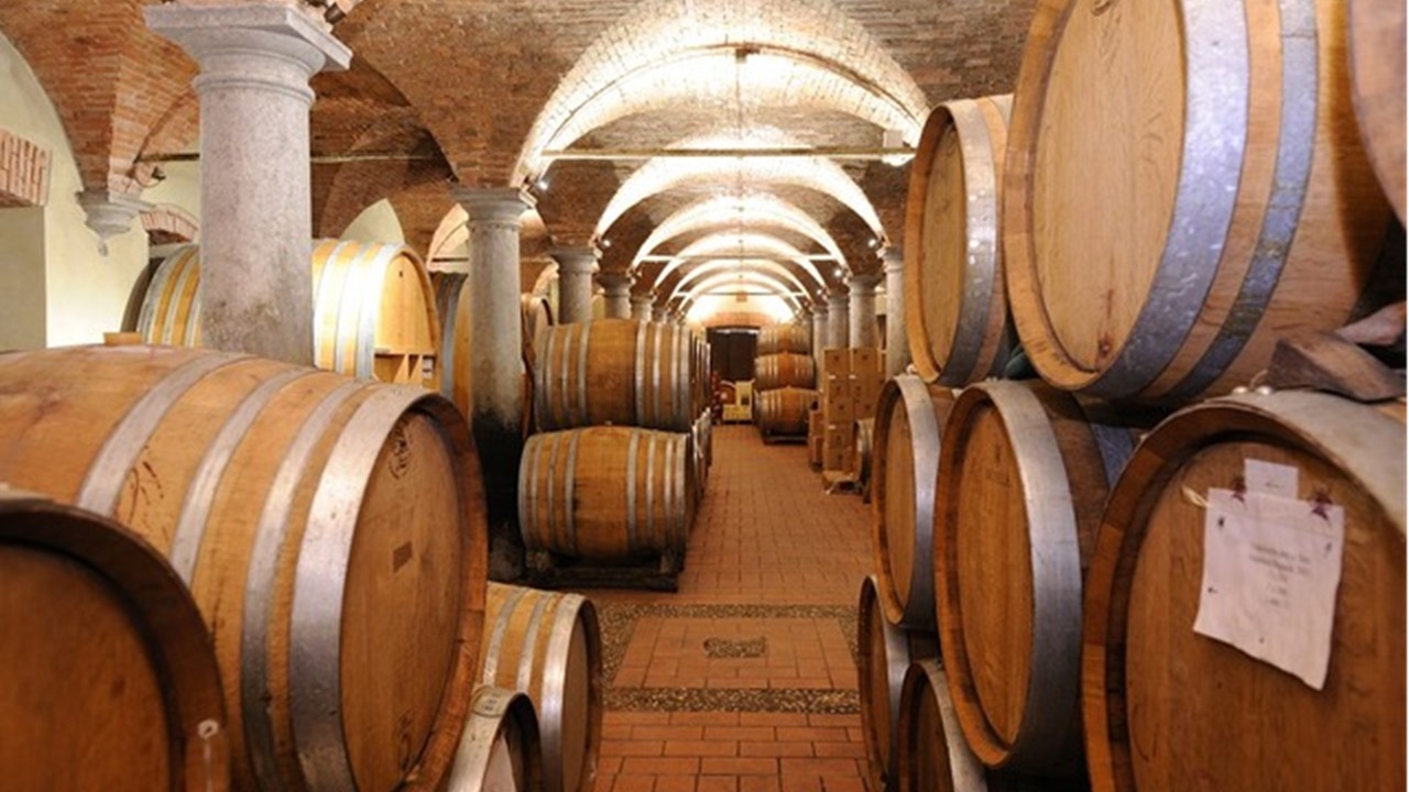VISITA GUIDATA IN CANTINA CON DEGUSTAZIONE
