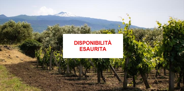 AUTUNNO IN VIGNA: VISITA GUIDATA DEL PALMENTO COSTANZO CON DEGUSTAZIONE