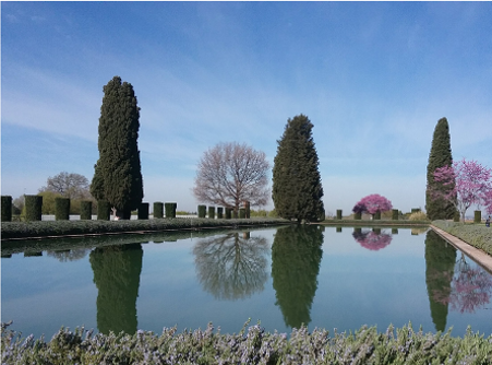 VISITA GUIDATA VILLA ADRIANA