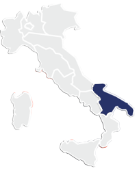 Mappa dei consigli territoriali